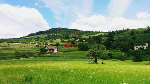 Scenic view of rural landscape