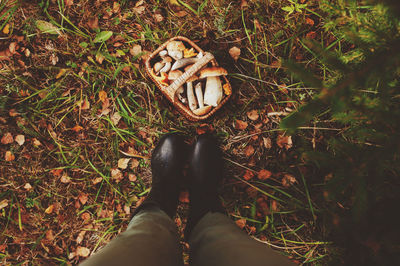 Low section of woman wearing boots standing by mushrooms in basket on field