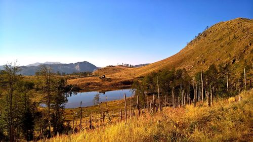 View of landscape against blue sky