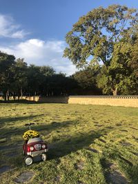 Scenic view of trees on field against sky