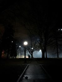 Silhouette of trees at night