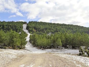 Scenic view of trees on landscape against sky