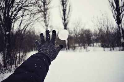 Person hand holding snow on tree during winter