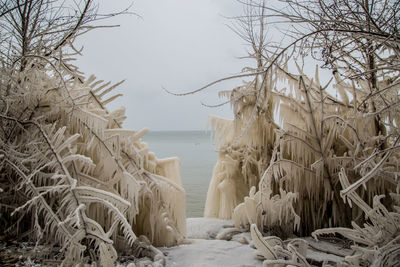 Scenic view of sea against sky during winter