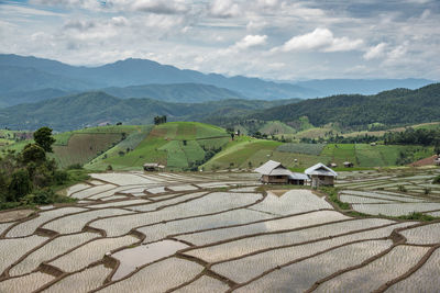 Scenic view of agricultural field against sky