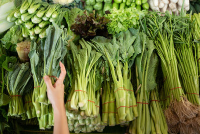 View of vegetables in the market