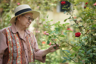 Asian old elderly elder woman resting relaxing in rose flower garden. senior leisure lifestyle