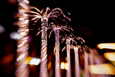 Low angle view of firework display at night