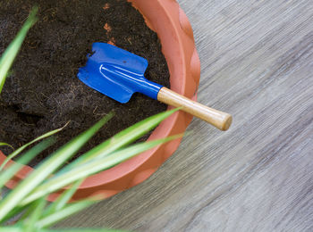 High angle view of human hand on blue table