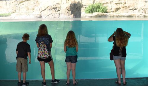 Rear view of women standing in swimming pool