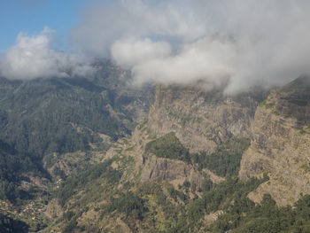 In the mountains of madeira