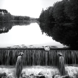 Reflection of trees in calm lake