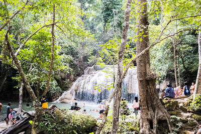 Group of people in the forest