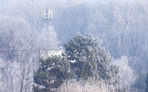 Scenic view of snow covered land