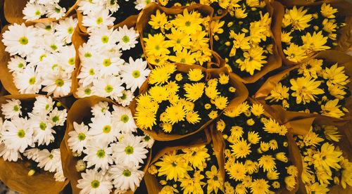 High angle view of flowers for sale