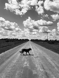 Man riding motorcycle on road against sky