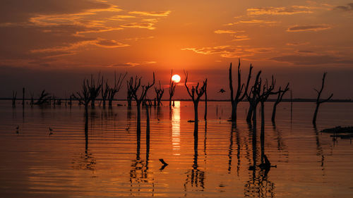 Scenic view of lake during sunset