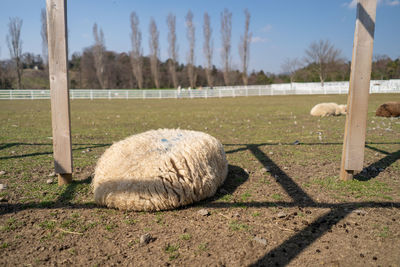 View of wooden fence on field
