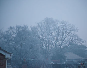 Bare trees and buildings against sky during winter