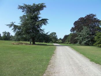 Road passing through grassy field