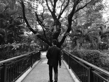 Rear view of businessman standing on footbridge amidst trees at park
