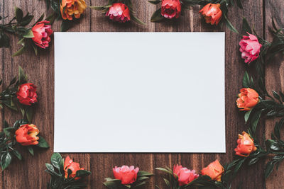 Directly above shot of red and white flowers on table