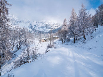snow