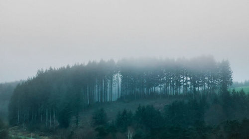 Panoramic shot of trees on landscape against sky during winter