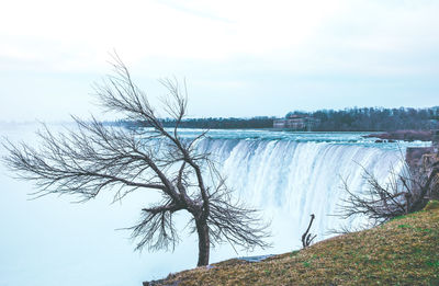 Bare trees by lake against sky