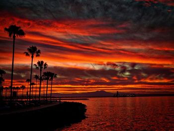 Silhouette of palm trees against cloudy sky