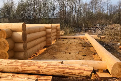 Stack of logs in field