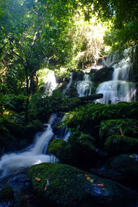 Scenic view of waterfall in forest