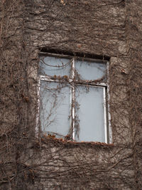 Low angle view of damaged window