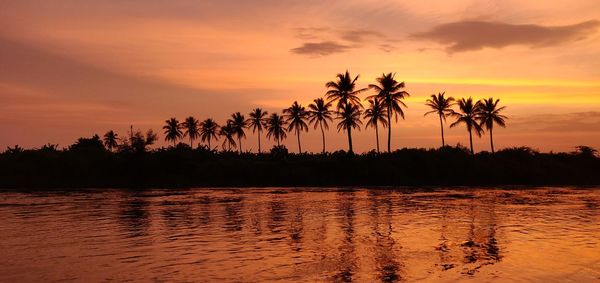 Silhouette palm trees against romantic sky at sunset