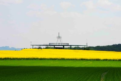 Scenic view of oilseed rape field against sky