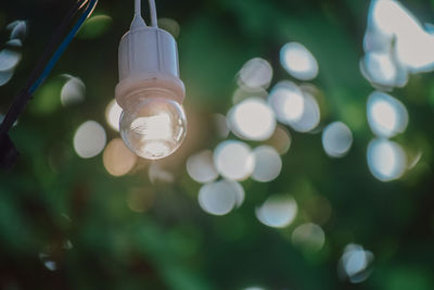 Low angle view of illuminated light bulb