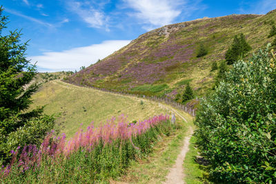 Scenic view of landscape against sky