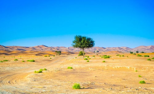 Scenic view of desert against blue sky