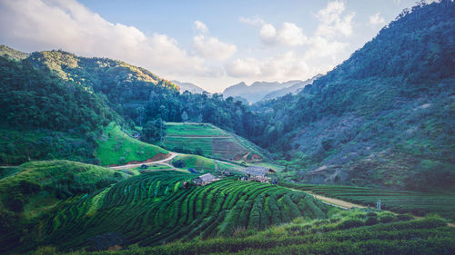 Scenic view of agricultural field against sky