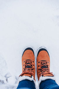 Low section of person standing on snow covered field