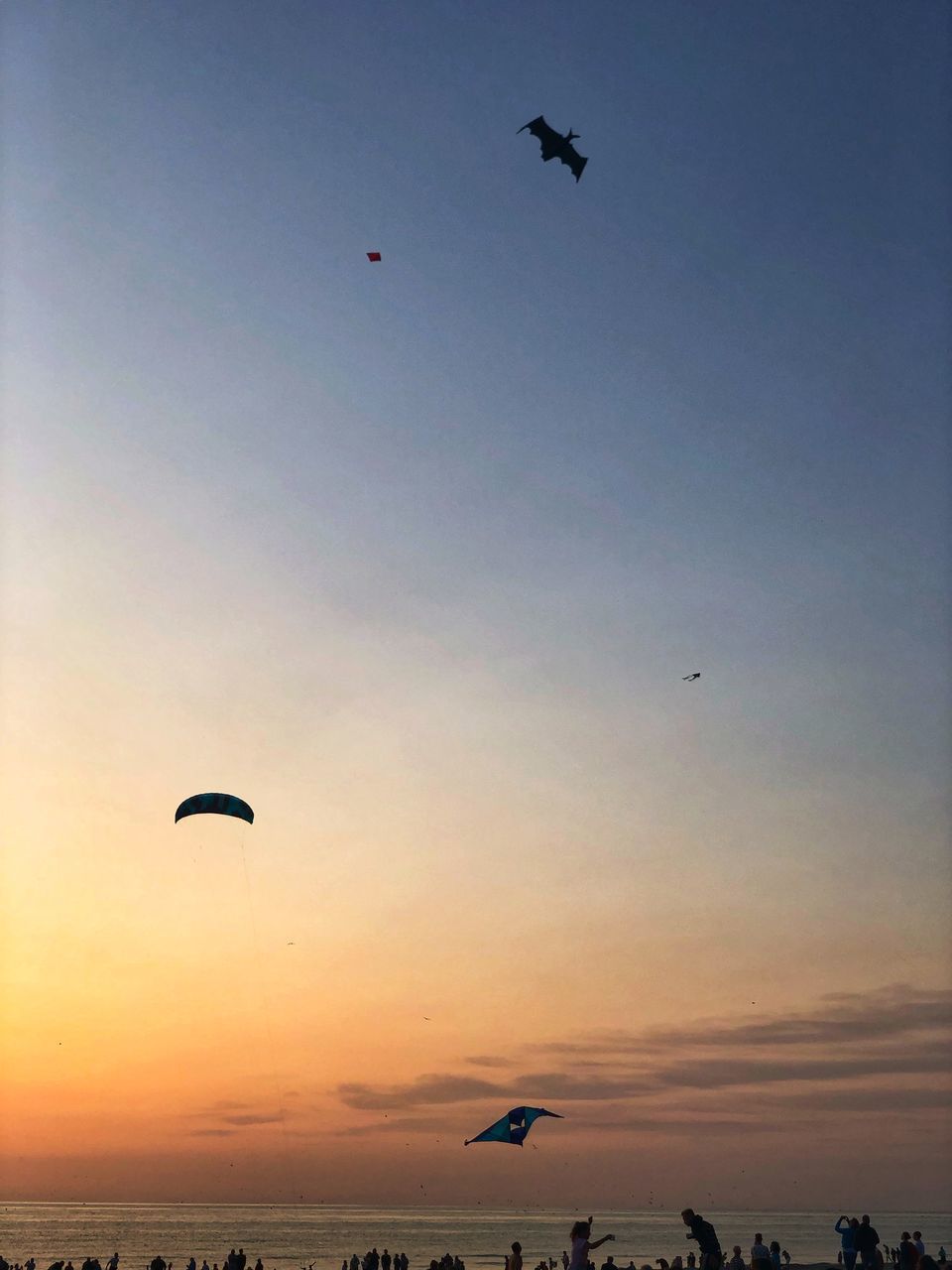 SILHOUETTE BIRDS FLYING OVER SEA