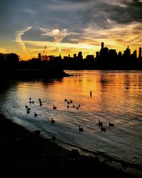 Silhouette birds swimming in lake against sunset sky