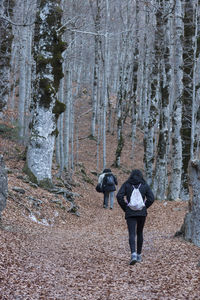 Rear view of people walking in forest
