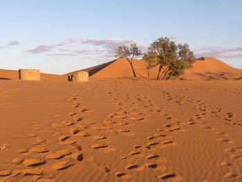 The sahara desert in the south of morocco. this sandy desert is also called erg chebbi.