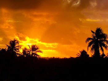 Silhouette palm trees against sky during sunset