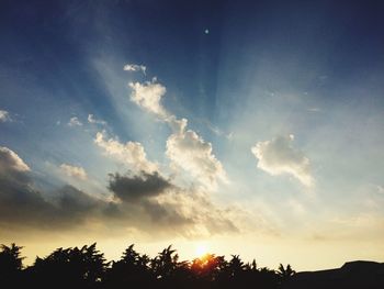 Low angle view of trees against sky