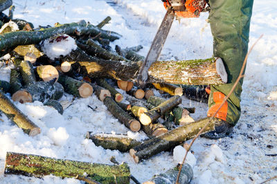 Low section of lumberjack sawing wood on snow covered field