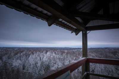 A beautiful snowy forest from above. winter landscape of northern europe woodlands.