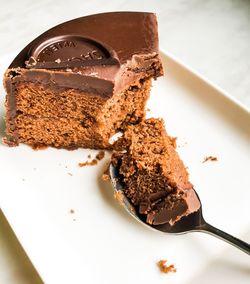 Close-up of chocolate cake in plate 