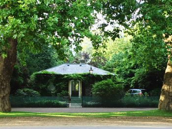 Trees in front of building